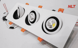 den-led-am-tran-nlt-group