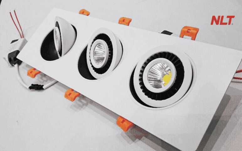 den-led-am-tran-nlt-group