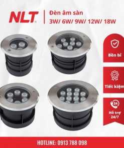 den-am-san-3w-6w-9w-12w-18w